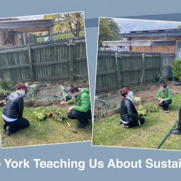 Edible York Teaching Us About Sustainability