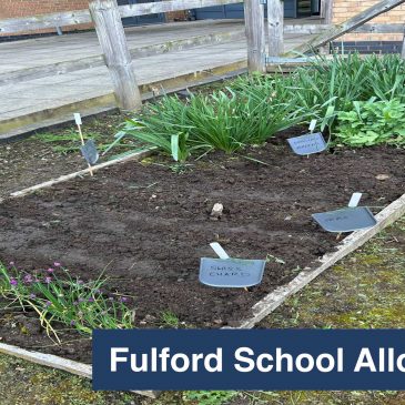Fulford School Allotment